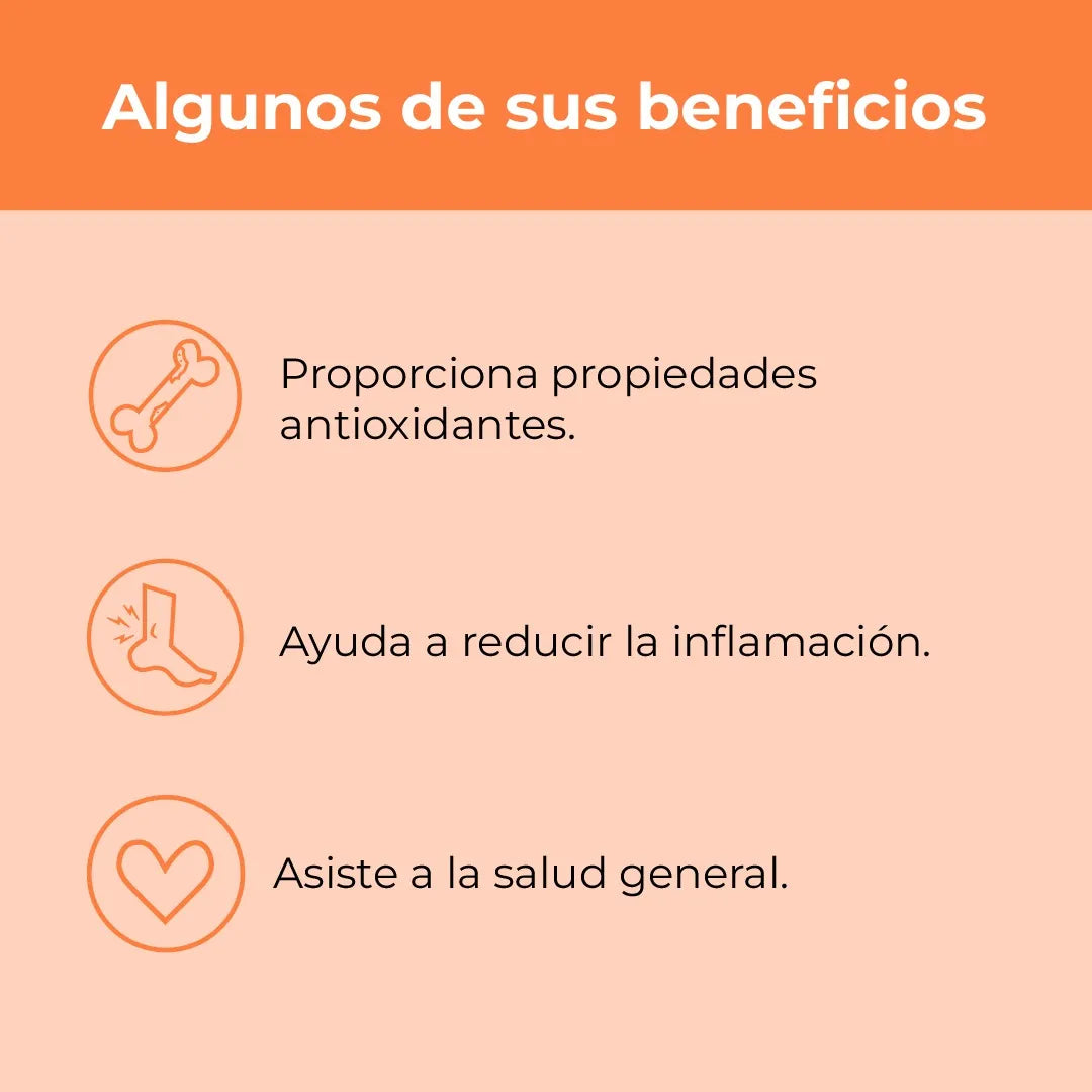 Cúrcuma + Jengibre + Pimienta Negra – Surogatu