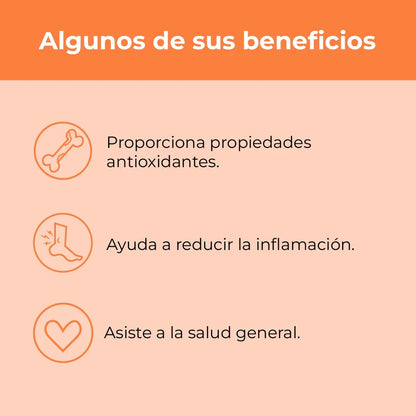 Cúrcuma + Jengibre + Pimienta Negra – Surogatu
